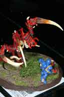 IMG_7861-01.htm linked image size (51708 bytes).