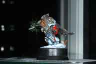 IMG_7876-01.htm linked image size (32129 bytes).