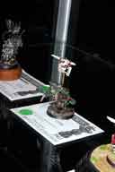 IMG_7881-01.htm linked image size (39391 bytes).