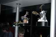 IMG_7892-01.htm linked image size (31545 bytes).