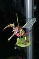 IMG_8233-01.htm linked image size (35507 bytes).