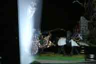 IMG_7176-01.htm linked image size (36570 bytes).