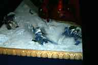 IMG_7702-01.htm linked image size (52370 bytes).