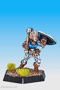 ADD13 Female Cleric - Mid Level
