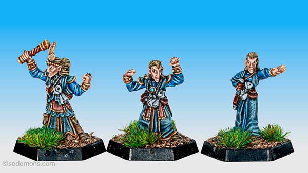 ADD16 Elf Magic User