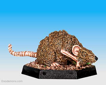 ADD61 Giant Rat 4