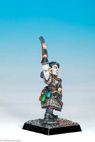 Dark Elf Champion 1