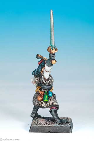 Dark Elf Champion 2