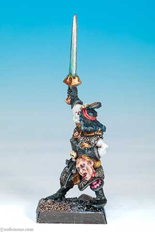 Dark Elf Champion 2