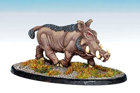 630 Calendonian Boar B