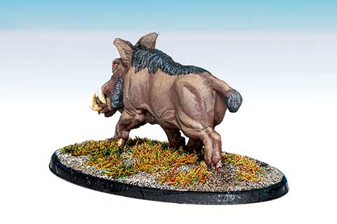 630 Calendonian Boar B