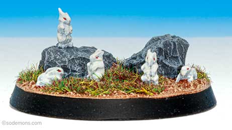 FM52 Rabbits