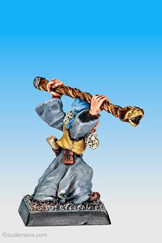 Wizard with Magic Staff