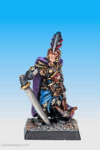 Evil Dark Elf Captain