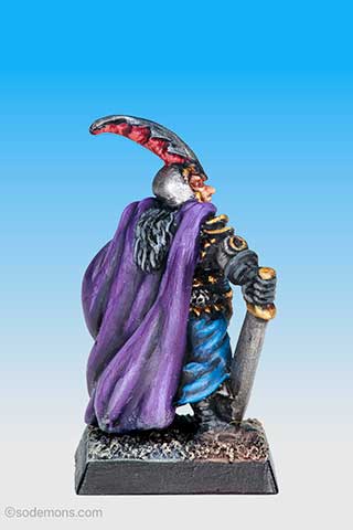 Evil Dark Elf Captain