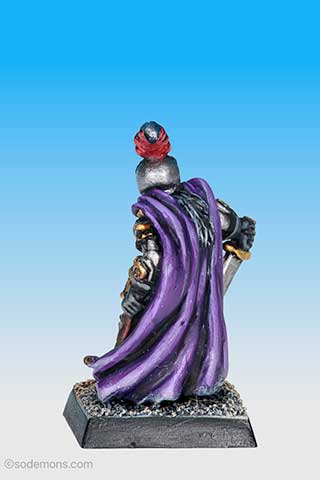 Evil Dark Elf Captain