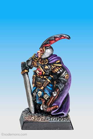 Evil Dark Elf Captain