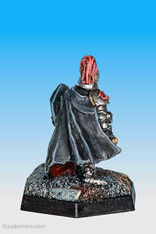 Gavin, Lawful Knight