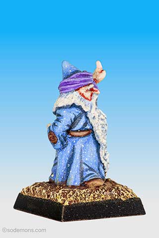 Fungil Wisebeard, the Sage