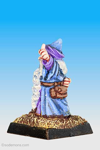 Fungil Wisebeard, the Sage