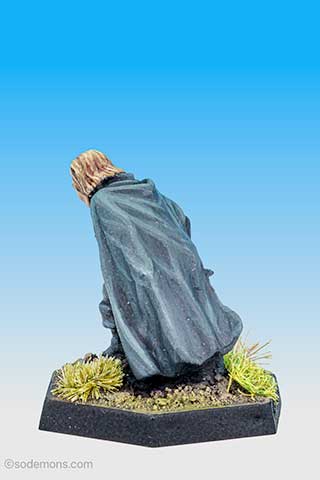 Bareheaded Wood Elf Thief