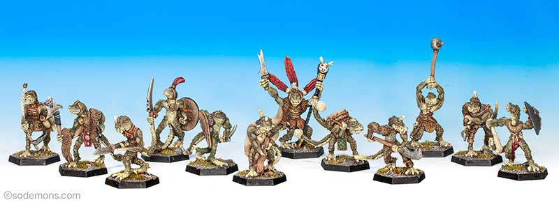 C24 Troglodytes