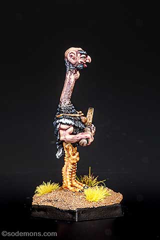 Ostrich Man