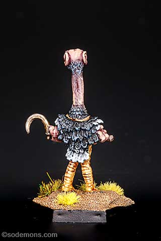 Ostrich Man