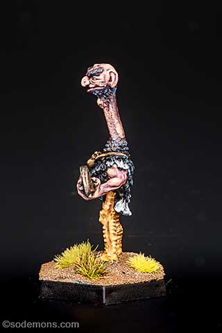 Ostrich Man