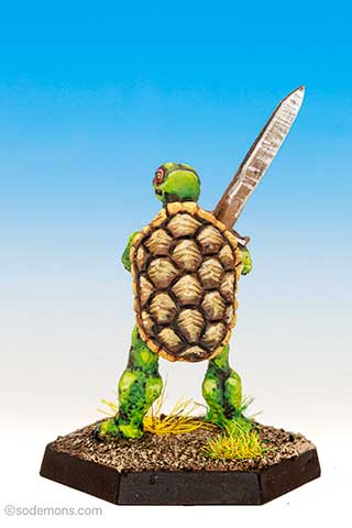 Turtle Man