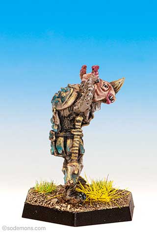 Rhino Man
