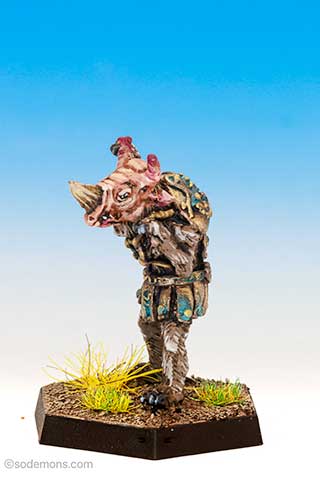 Rhino Man