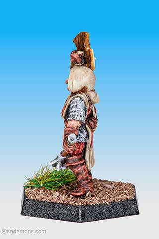 Crusading Priest