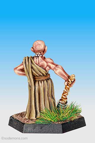 Wizened Priest