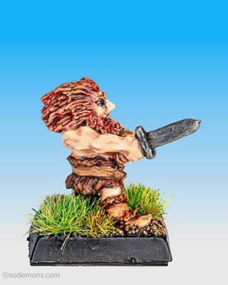Sword Beserk