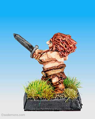 Sword Beserk