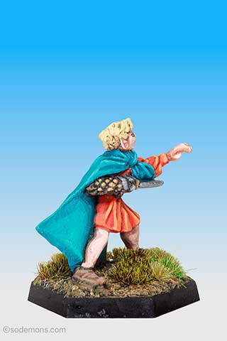 C33 High Elf Hero on Foot