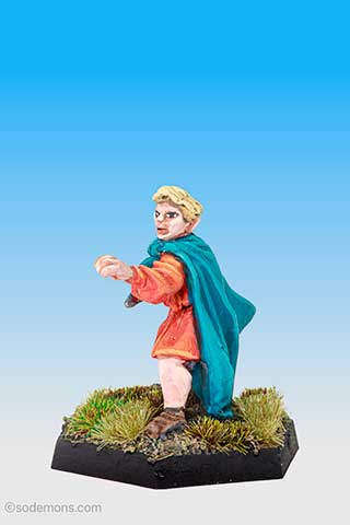 C33 High Elf Hero on Foot