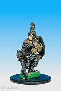 C33 Elf Hero on Foot