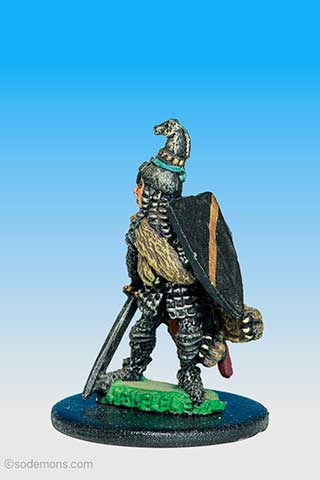 C33 Elf Hero on Foot