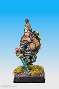 C33 Elf Hero on Foot