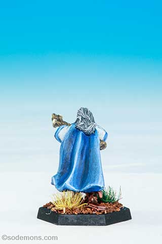 Amber Wizard on Foot