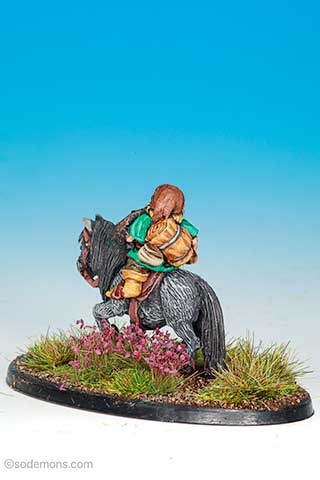FAC34 Mounted Gnome Warrior Thief