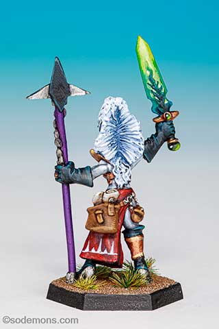 Not the Witch Elf Sorceress