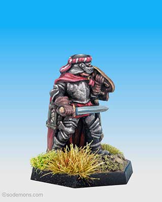 FTF99 Knight Errant in Plate Armour (FS48-2 variant )