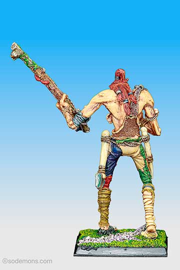 Cachtorr