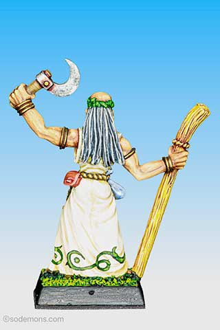Hengus the Druid
