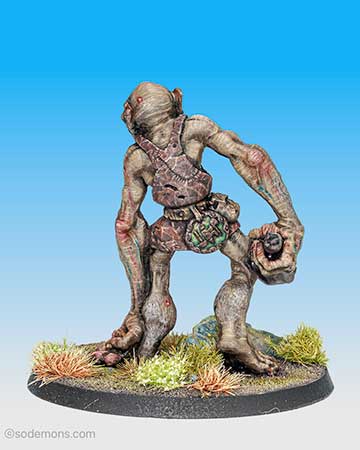C28 Whither Wattle