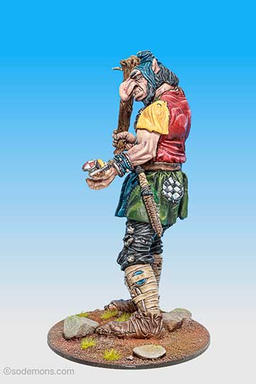 The Citadel Giant