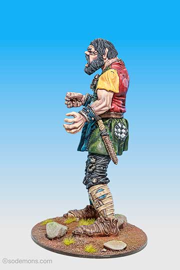The Citadel Giant